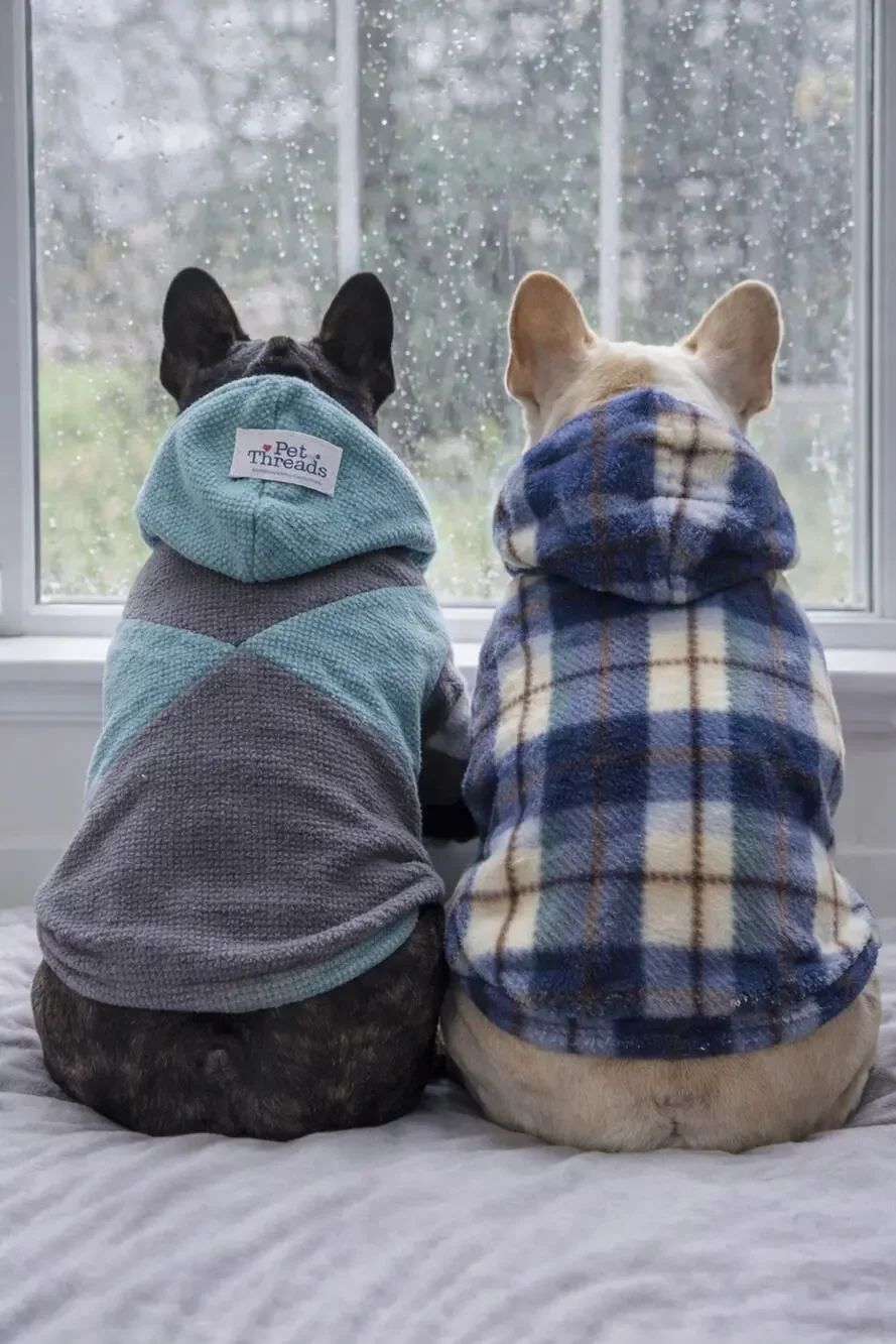 Pet Threads Dog Sweatshirts Set Of 2 Fleece Hooded Pullover Coats Size 12 Plaid